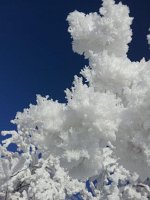 20140125_115100 (1)